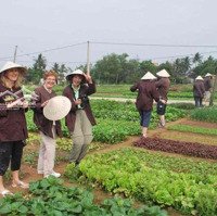 210M Đất Ở Hoàn Toàn,Khu Du Lịch Làng Rau Trà Quế,Hội An