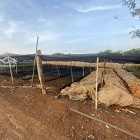 1,8 Ha Đấtmặt Tiềnđường Lớn - Giá Giảm Mạnh 7 Tỷ ,Kdc Qh Đất Ở (Đức Trọng)