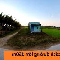 Bán Gấp Lô Đất Xây Nhà Vườn Nhà Yến Gần Phan Thiết