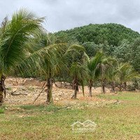 55.000M2 Đất 500M View Sông Cu Đê, 100M Mặt Tiền Đường Dt601 Hoà Bắc