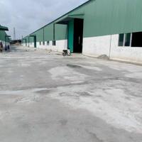 Kho Xưởng 1900M², 3800M², 5200M², 8300M² Kcn Sóng Thần 1, Có Pccc Đại lộ Độc Lập, Phường Dĩ An, Thành phố Dĩ An, Bình Dương