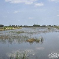 Bán Đất Nuôi Trồng Thủy Sản Chính Chủ, Xã Phong Thạnh Tây, Giá Rai, Bl