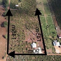 Bán Đất 2 Mặt Tiềndiện Tích1.3Ha (90X145M) Có Sẵn Nhà Cấp 4. Giá Bán 1.7 Tỷ.