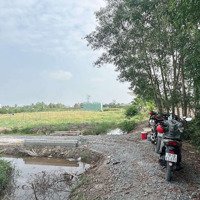 Đất Vườn Rẻ, 500M2 Chỉ 235 Triệu Thủ Thừa, Long An