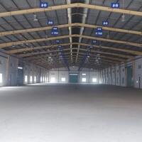 Cho thuê kho hoặc xưởng sản xuất. Pháp lý đầy đủ. 1700m2. Phường Tân Bình, Dĩ An, Bình Dương