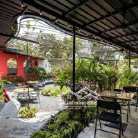 Cho Thuê Mbkd Thống Nhất Mới-Diện Tích300M2- Kd Nhà Hàng, Quán Cafe...