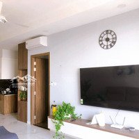 Cho Thuê Căn Hộ 2 Phòng Ngủ 3 Phòng Ngủopal Boulevard Thủ Đức Giá Từ 8 Triệu