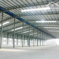 Cho thuê kho xưởng mới trong KCN Long Đức, huyện Long Thành, Đồng Nai