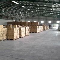 Cho thuê kho nhà xưởng 8000m2 thuộc KCN VSIP 1,Thuận An,Bình Dương
