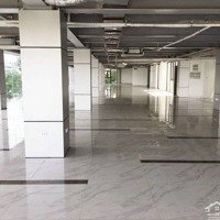 Cần Cho Thuê 5000M Tòa Nhà Quận Hoàng Mai . Ngân Hàng - Showroom ...