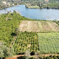 Đất rẫy cà phê giáp hồ tự nhiên 2754m2 giá 360 triệu