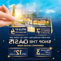 Shophouse Oasis Mua Trực Tiếp Cđt, Chính Sách Khủng, Ck Lên Đến 12%