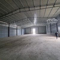 Cho Thuê Kho Từ 550M2- 2000M2 Tại Sở Dầu. Hồng Bàng. Xe Cont Ra Vào