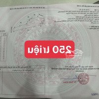 Bán Đất Khánh Phú - Sát Đường Yang Bay - 500M2- Giá Rẻ Chỉ 250 Triệu