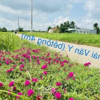 Bán 350Mv Đất Ở Bán Kính 2,5Km Trung Tâm Hành Chính Huyện Tân Trụ