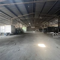 Chính Chủ Cho Thuê Đất Mặt Tiền 150M - Diện Tích: 5000M² - Ql1A - Kcn Sóng Thần