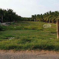 Bán Đất Thổ Cư Chủ Quyền Tại Huyện Chợ Gạo Tiền Giang