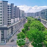 Giỏ Hàng Cho Thuê Celadon City Tân Phú Giá Ưu Đãi Đầu Năm Mới