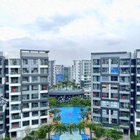 Giỏ Hàng Cho Thuê Celadon City Tân Phú Giá Ưu Đãi Đầu Năm Mới