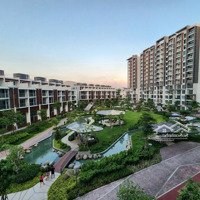 Giỏ Hàng Cho Thuê Celadon City Tân Phú Giá Ưu Đãi Đầu Năm Mới