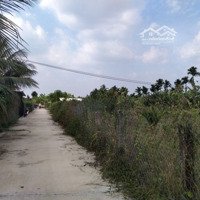 Cần Bán Nhanh Lô Đất Vị Trí Tại Xã Thanh Bình - Chợ Gạo - Tiền Giang