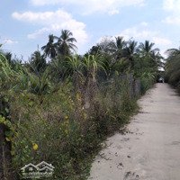 Cần Bán Nhanh Lô Đất Vị Trí Tại Xã Thanh Bình - Chợ Gạo - Tiền Giang
