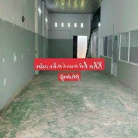 Cho Thuê Nhà Làm Kho Ở Phú Hữu,Quận 9