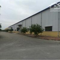 Chúng tôi cho thuê kho xưởng DT 1100m², 2200m², 3000m²... 5000m², 20.000m², KCN Đại Đồng Tiên Du, Bắc Ninh.