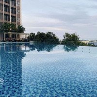 Căn Hộ 42M2 1 Phòng Ngủopal Skyline Tp Thuận An Bình Dương