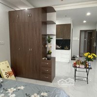 Căn Hộ 42M2 1 Phòng Ngủopal Skyline Tp Thuận An Bình Dương