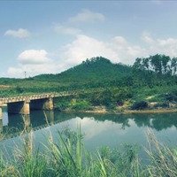 Trang Trại View Sông Siêu Đẹp Làm Du Lịch Nông Nghiệp, Xã Hòa Phú, Đn