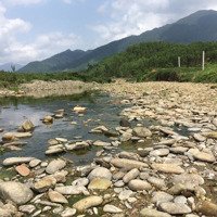 Trang Trại View Sông Siêu Đẹp Làm Du Lịch Nông Nghiệp, Xã Hòa Phú, Đn