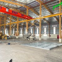 Cho Thuê Kho Xưởng 3000-6000M2 Kcn Phúc Long Tại Huyện Bến Lức,Long An