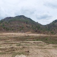 Đất 5 Hecta Tại Bình Thuận - Quy Hoạch Trang Trại Chăn Nuôi