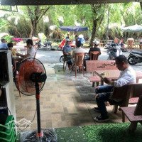 Sang Cafe Sân Vườn Tạ Quang Bửu. P5. Quận 8