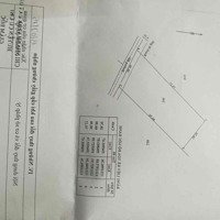 Bán 2041M2 Có 300 Thổ Cưmặt Tiềnđường 177 Bình Mỹ - Củ Chi