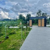 Nhà Vườn 2.500M2 Đầy Đủ Nội Thất Dọn Vào Ở Ngay