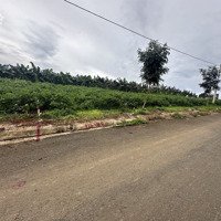 Thanh Lý Lô Đất Giá Tốt Tại Bảo Lâm View Đẹp Giống Bali Chỉ 11 Triệu/M2