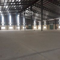 Cho Thuê Kho Xưởng 7100M2 Đến 20.000M2 Pccc Tp Thủ Đức