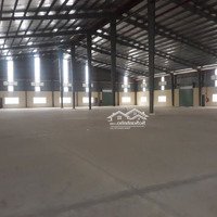 Cho Thuê Kho Xưởng 7100M2 Đến 20.000M2 Pccc Tp Thủ Đức