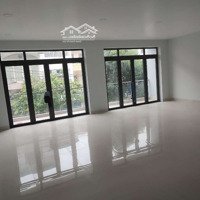 Tòa Mới Mới 100% 8X20 1 Hầm 3 Lầu Có Thang Máy