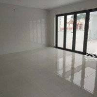 Tòa Mới Mới 100% 8X20 1 Hầm 3 Lầu Có Thang Máy