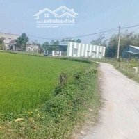 Nhà Vườn Diện Tích : 1270M Trong Sổ Có 300M Đất Ở