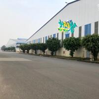 Bán gấp nhà xưởng 35.800m2 giá 181 tỷ- khu công nghiệp Biên Hòa-Đồng Nai