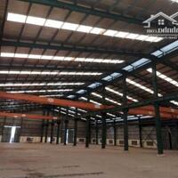 Cho thuê kho xưởng 2000m2, 3000m2, 5000m2 đường Xa Lộ Hà Nội, phường Trường Thọ, Thủ Đức