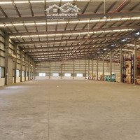 Cho Thuê Kho Xưởng 2400M2 Trong Kcn Nhơn Trạch 3, Tỉnh Đồng Nai