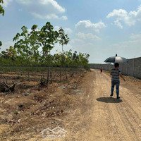 Bán Lô 1000M Đã Xin Thổ Cư 200M , Bao Đẹp Bao Rẻ .