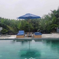 Cho Thuê Villa Hồ Bơi Hội An; Nội Thất Xịn; Mới Xây