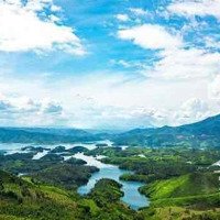 Bán Nhanh Homestay Cực Vip, Cực Đẹp, View Xuất Sắc Tại Hồ Tà Đùng