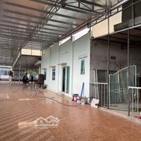 Cho Thuê Nhà Đất 500M2 Hẻm Đường Hoàng Lê Kha Thông Nguyễn Thái Học